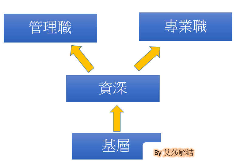 企業專業職的晉升不外乎是賺業職的再提升或管理職